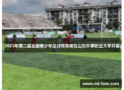 2025年第二届全国青少年足球菁英赛在山东外事职业大学开幕